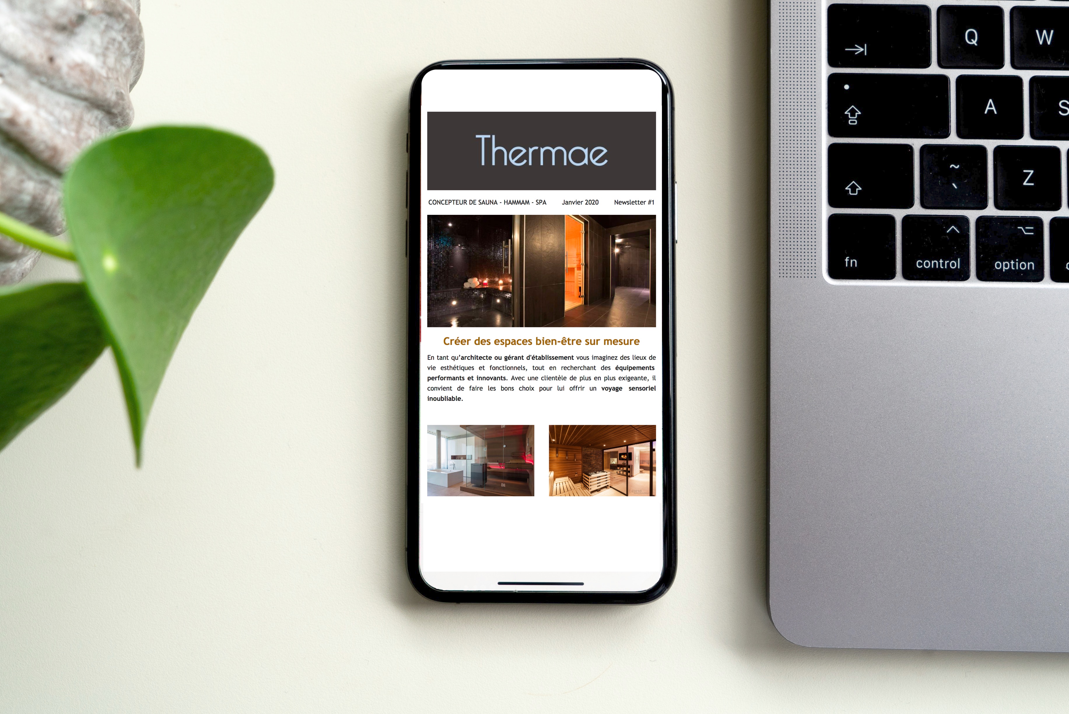 Thermae newsletter